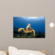 Green Sea Turtle Chelonia Wall Decal Design 27