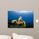 Green Sea Turtle Chelonia Wall Decal Design 27