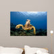 Green Sea Turtle Chelonia Wall Decal Design 27