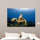 Green Sea Turtle Chelonia Wall Decal Design 27