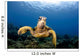 Green Sea Turtle Chelonia Wall Decal Design 27