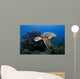 Green Sea Turtle Chelonia Wall Decal Design 26
