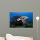 Green Sea Turtle Chelonia Wall Decal Design 26