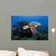 Green Sea Turtle Chelonia Wall Decal Design 26