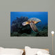 Green Sea Turtle Chelonia Wall Decal Design 26