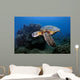 Green Sea Turtle Chelonia Wall Decal Design 26