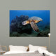 Green Sea Turtle Chelonia Wall Decal Design 26