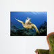 Green Sea Turtle Chelonia Wall Decal Design 25