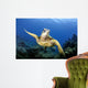 Green Sea Turtle Chelonia Wall Decal Design 25