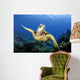 Green Sea Turtle Chelonia Wall Decal Design 25