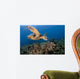 Green Sea Turtle Chelonia Wall Decal Design 24