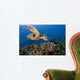Green Sea Turtle Chelonia Wall Decal Design 24