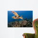 Green Sea Turtle Chelonia Wall Decal Design 24