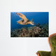 Green Sea Turtle Chelonia Wall Decal Design 24