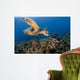 Green Sea Turtle Chelonia Wall Decal Design 24