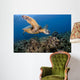 Green Sea Turtle Chelonia Wall Decal Design 24