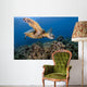 Green Sea Turtle Chelonia Wall Decal Design 24