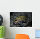 Many-spotted Sweetlips Oahu Hawaii Wall Decal