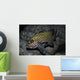 Many-spotted Sweetlips Oahu Hawaii Wall Decal