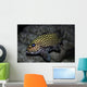 Many-spotted Sweetlips Oahu Hawaii Wall Decal
