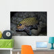 Many-spotted Sweetlips Oahu Hawaii Wall Decal