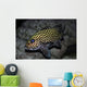 Many-spotted Sweetlips Oahu Hawaii Wall Decal