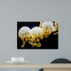 Jellyfishes Mastigias Sp Black Wall Decal