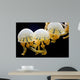 Jellyfishes Mastigias Sp Black Wall Decal
