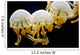 Jellyfishes Mastigias Sp Black Wall Decal