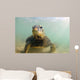Green Sea Turtle Laniakea Wall Decal Design 1