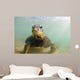 Green Sea Turtle Laniakea Wall Decal Design 1