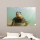 Green Sea Turtle Laniakea Wall Decal Design 1