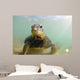 Green Sea Turtle Laniakea Wall Decal Design 1