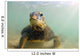 Green Sea Turtle Laniakea Wall Decal Design 1