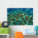 School Blue-green Chromis Micronesia Wall Decal