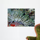 Giant Sea Anemone Cozumel Wall Decal Design 2
