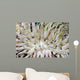 Giant Sea Anemone Cozumel Wall Decal Design 1