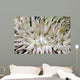 Giant Sea Anemone Cozumel Wall Decal Design 1