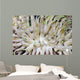 Giant Sea Anemone Cozumel Wall Decal Design 1