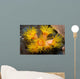 Orange Cup Coral Philippines Wall Decal