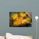 Orange Cup Coral Philippines Wall Decal
