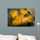 Orange Cup Coral Philippines Wall Decal