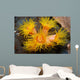 Orange Cup Coral Philippines Wall Decal