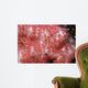 Spider Crab Soft Coral Wall Decal