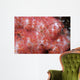 Spider Crab Soft Coral Wall Decal