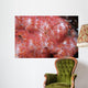 Spider Crab Soft Coral Wall Decal