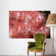 Spider Crab Soft Coral Wall Decal