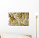Anemone Shrimp Negros Island Wall Decal