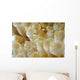 Anemone Shrimp Negros Island Wall Decal