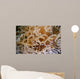 Tube Anemone Close-up Negros Wall Decal